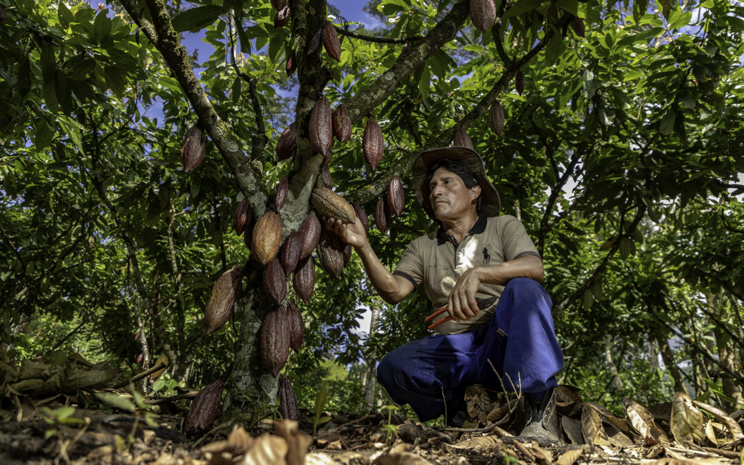 Agricultor en campo – web