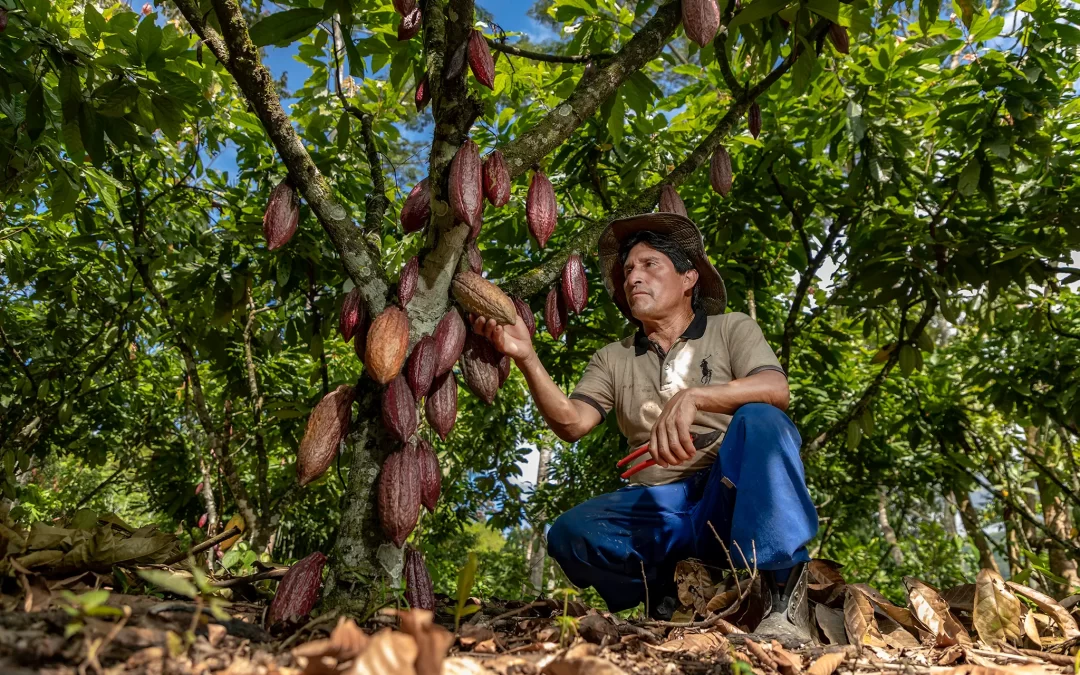 Agricultor en campo