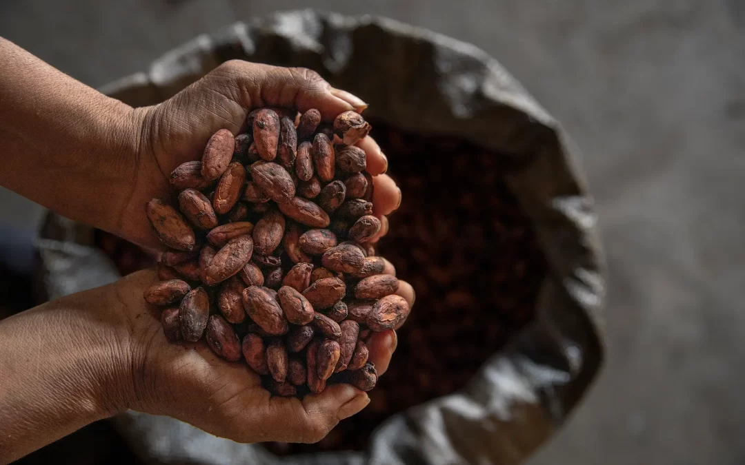 Cacao en mano